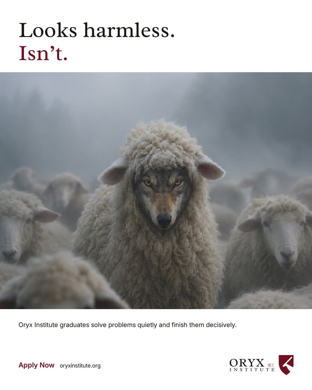 The Oryx Institute recruitment flyer: a wolf in sheep's clothing